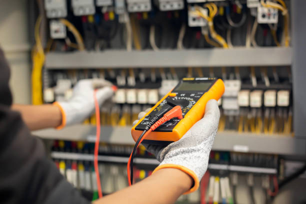 Best Electrical Panel Upgrades  in Plum Grove, TX